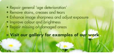 photos, photographic services, special offers, photo