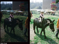 digital photos, improvement, renovation, photographic retouching